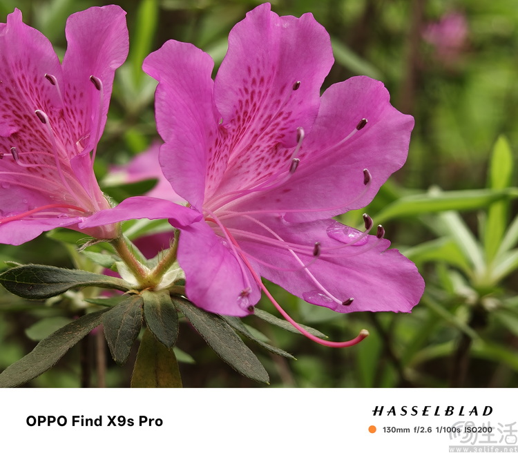 OPPO Find X9s Pro评测：更精致的哈苏小旗舰