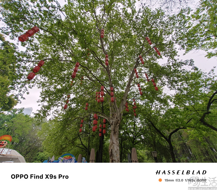 OPPO Find X9s Pro评测：更精致的哈苏小旗舰