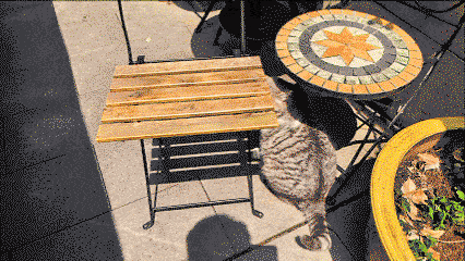 DJI Osmo Mobile 8P首测：跟拍从此易如反掌