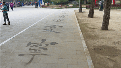 DJI Osmo Mobile 8P首测：跟拍从此易如反掌