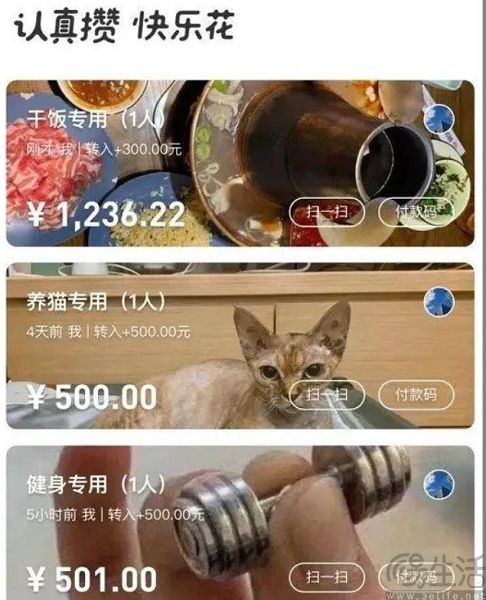 小荷包上线“承诺券”，支付宝终于找到做社交的路了