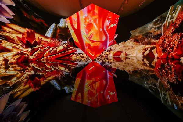 京东方以创新显示赋能2026横琴-澳门国际数字艺术博览会 