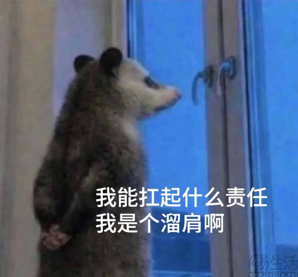 当一个赛车游戏苦手决定玩《极限竞速:地平线6》 当一个赛车游戏苦手决定玩《极限竞速:地平线6》