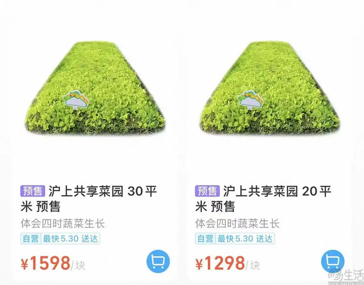 盒马在沪推出“共享菜园”,年租金1298元起 盒马在沪推出“共享菜园”,年租金1298元起