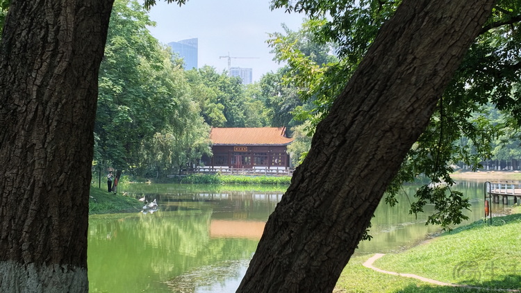 DJI Osmo Pocket 4P上手体验:口袋里的电影机 DJI Osmo Pocket 4P上手体验:口袋里的电影机