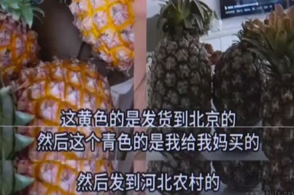 支持边逛边比价,淘宝要从线下场景抢流量 支持边逛边比价,淘宝要从线下场景抢流量