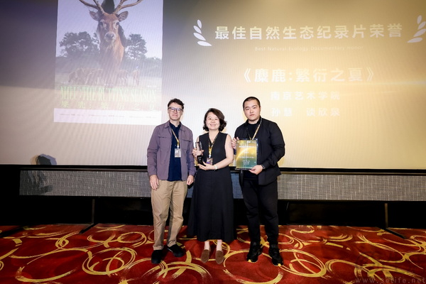 华硕e创公益影像荣誉片单发布,点亮时代微光 华硕e创公益影像荣誉片单发布,点亮时代微光