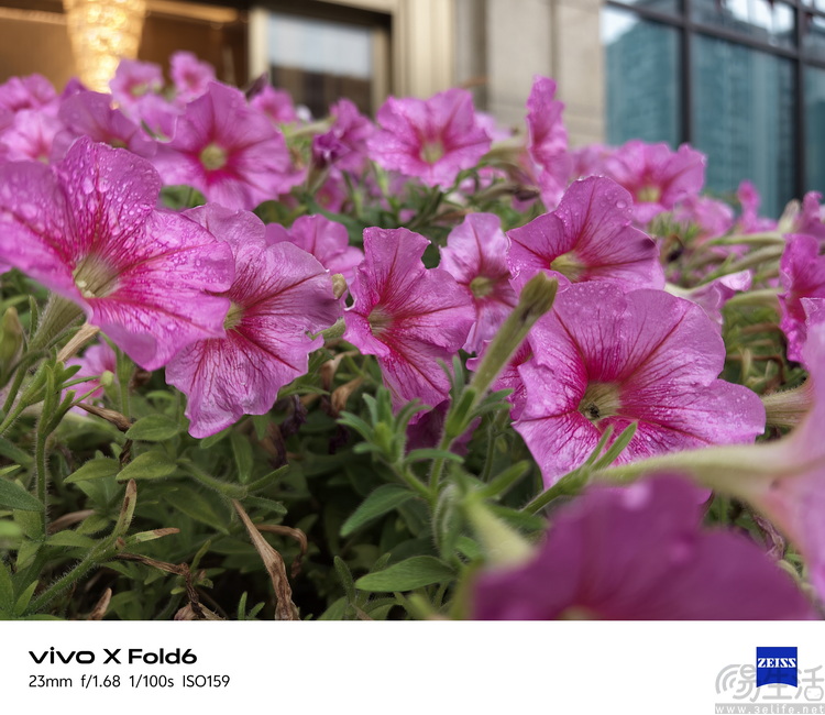 vivo X Fold 6首发体验：改写旗舰大折叠规则