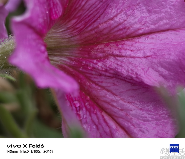vivo X Fold 6首发体验：改写旗舰大折叠规则