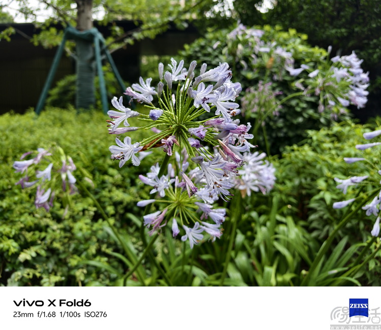 vivo X Fold 6首发体验：改写旗舰大折叠规则