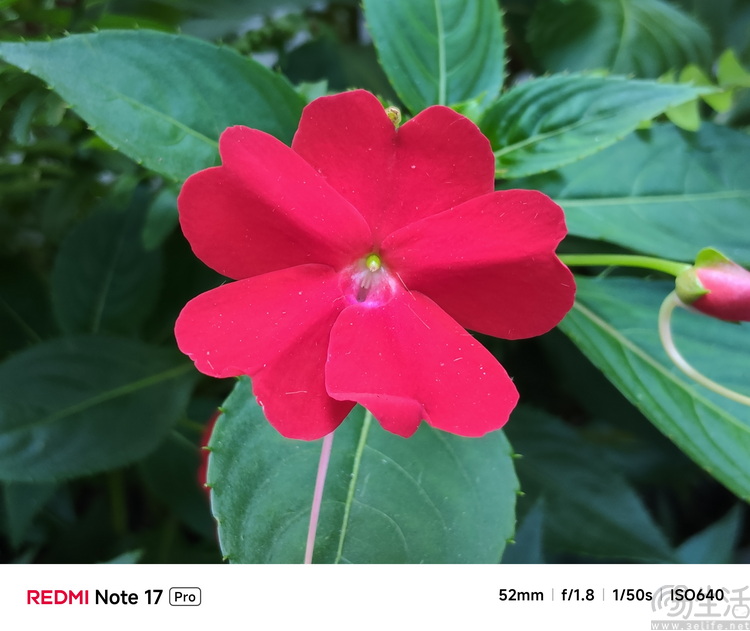 REDMI Note 17 Pro体验:延续国民小金刚传奇 REDMI Note 17 Pro体验:延续国民小金刚传奇
