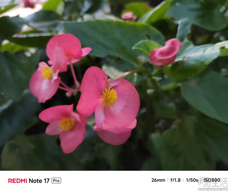 REDMI Note 17 Pro体验:延续国民小金刚传奇 REDMI Note 17 Pro体验:延续国民小金刚传奇