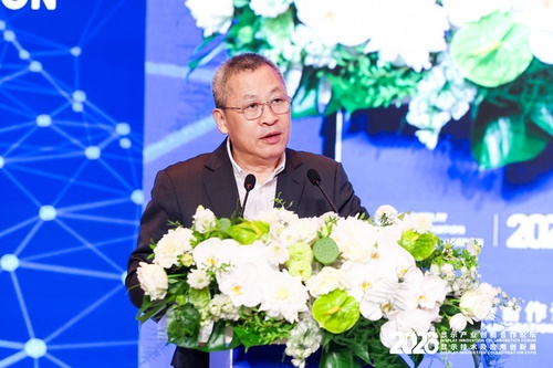京东方携前沿显示技术亮相DIC EXPO 2026 京东方携前沿显示技术亮相DIC EXPO 2026