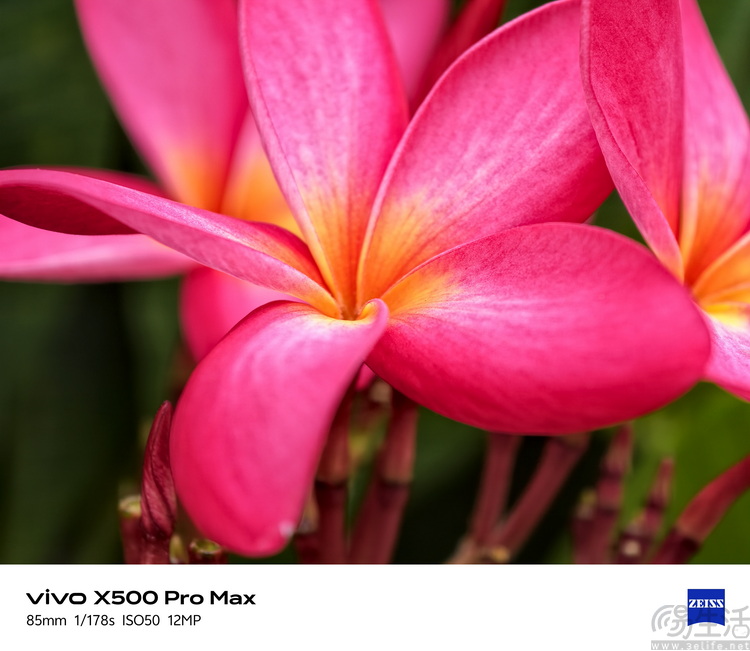 vivo X500 Pro Max首测:不叫Ultra,却更能打 vivo X500 Pro Max首测:不叫Ultra,却更能打