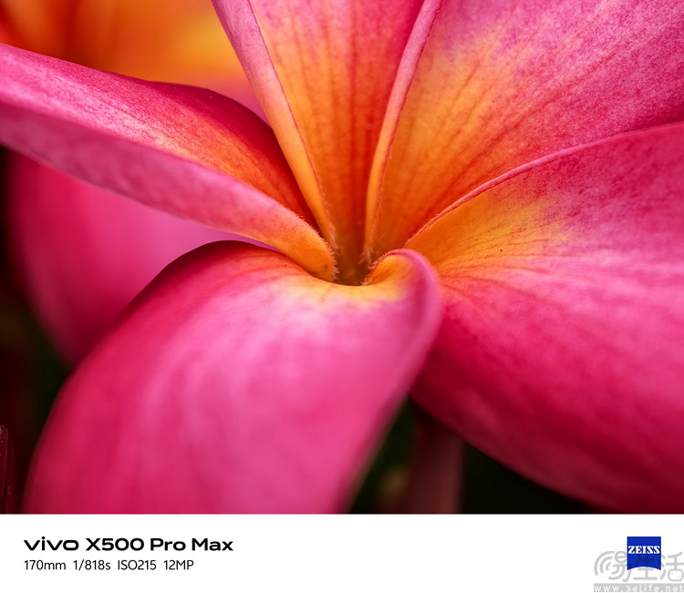 vivo X500 Pro Max首测:不叫Ultra,却更能打 vivo X500 Pro Max首测:不叫Ultra,却更能打