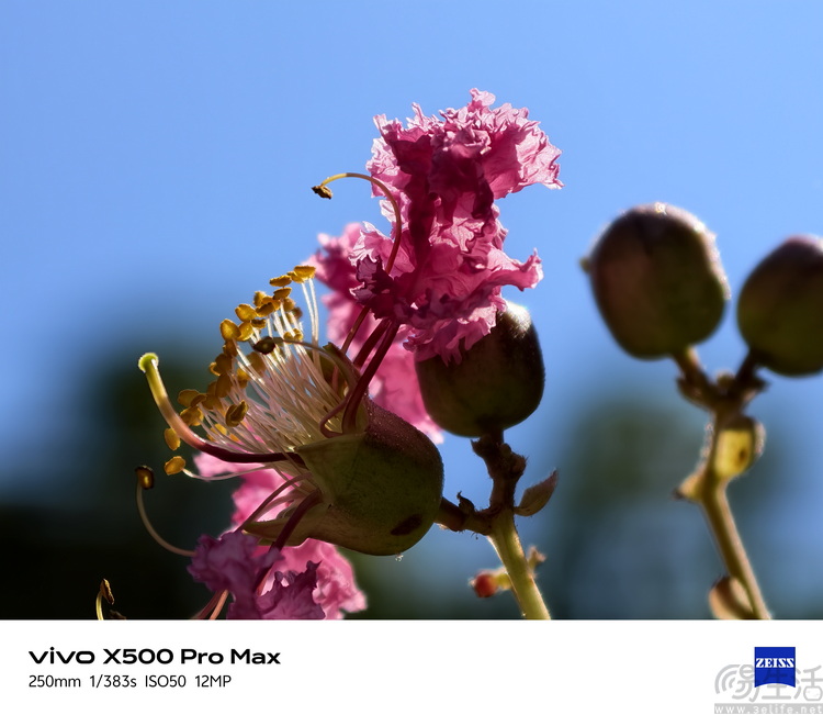 vivo X500 Pro Max首测:不叫Ultra,却更能打 vivo X500 Pro Max首测:不叫Ultra,却更能打