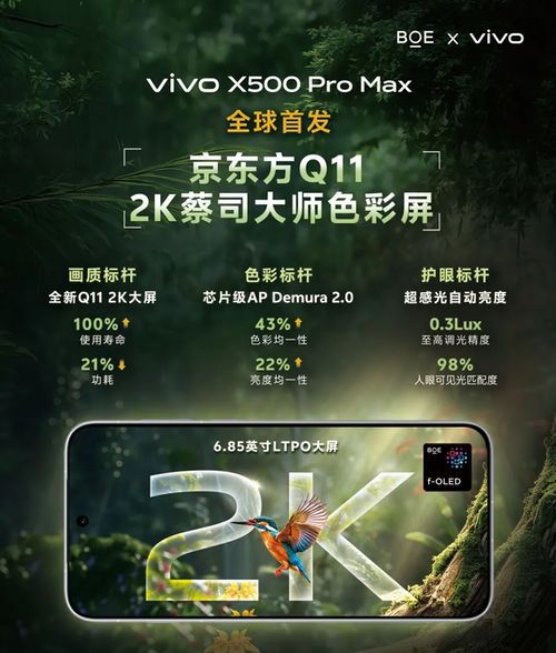 京东方携手vivo首发Q11 2K蔡司大师色彩屏 京东方携手vivo首发Q11 2K蔡司大师色彩屏