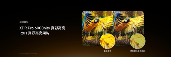 海信新一代性能旗舰E7S Pro+正式发布，原生真彩再进阶