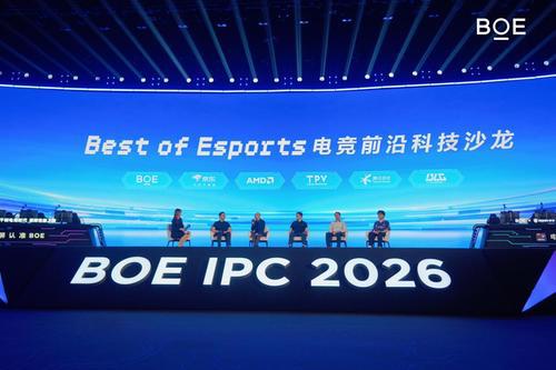 京东方IPC电竞嘉年华暨BOE无畏杯S4「爱攻」赛季总决赛举办