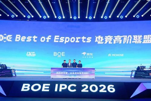 京东方IPC电竞嘉年华暨BOE无畏杯S4「爱攻」赛季总决赛举办